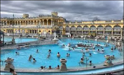 Quel fleuve borde la ville de Budapest ?