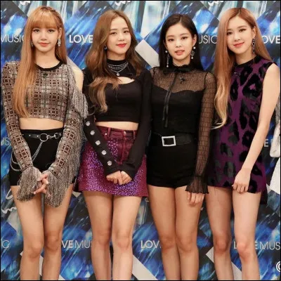 Quel m&eacute;tier ferais-tu si tu n'&eacute;tais pas un membre des Blackpink ?