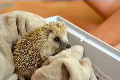 Ensuite, que faire ?