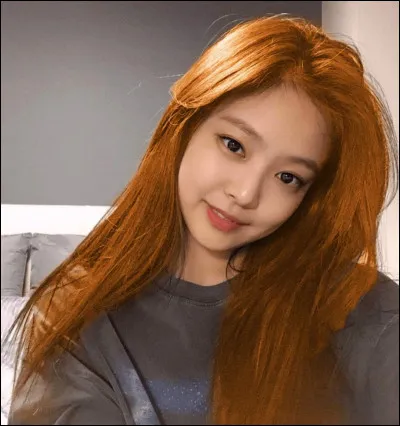 Choisis une couleur de cheveux. 1