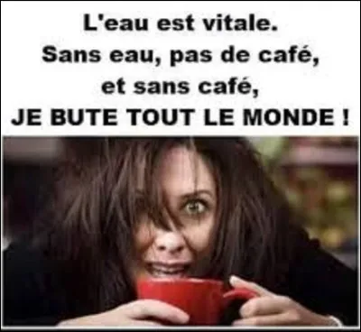 En 1873, lors des grandes crues de la Garonne, quel président de la IIIe République a prononcé, sous les yeux médusés des Toulousains, cette phrase : ''Que d'eau, que d'eau !'' ?