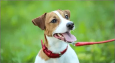 Et lui donc ? Vous n'allez tout de m&ecirc;me pas l'abandonner !