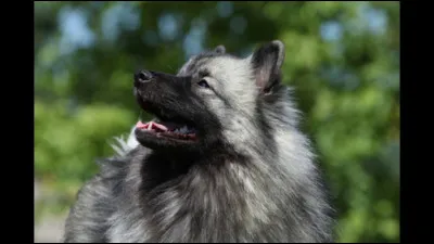 Il a l'air triste ! Rendez-lui son nom pour le faire sourire !
