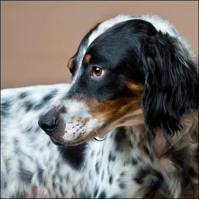 Celui-ci mérite également un nom ! Quel est-il ?