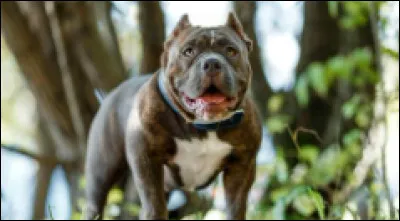 Et lui, alors ? Saurez-vous le reconnaître ?