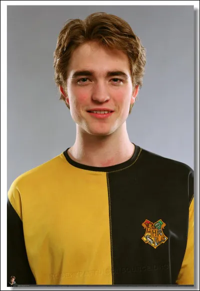 De qui tombe-t-elle amoureuse avant Harry Potter ?