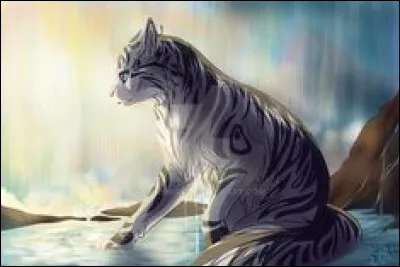 9. Je connais la vérité et s'il essayait de me tuer pour ça. Je dois partir vite... J'ai trop peur de la vérité. Et c'est en partant que je l'ai rencontré. Et maintenant je ne veux pas l'abandonner.