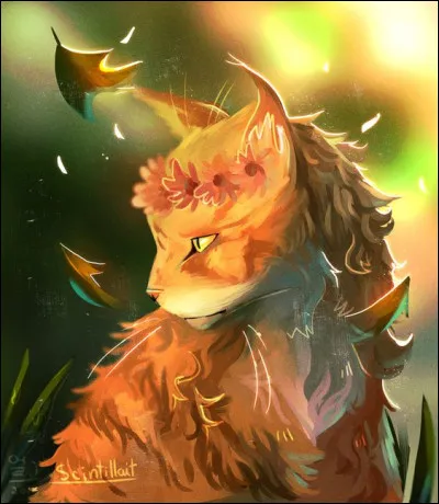 8. J'ai peut-être menti mais... je les aimais plus que ma propre vie. Je ne voulais pas les blesser comme ça. Et un a rejoint le Clan des Étoiles et je suis sûre que c'est de ma faute.