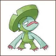 Qui est ce Pokemon ?