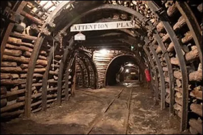 Dans les Mines de la Moria, la Communauté de lAnneau affronte un troll des cavernes. Qui le combat en étant debout sur la tombe de Balin ?