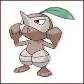 Qui est ce Pokemon ?