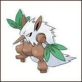 Qui est ce Pokemon ?