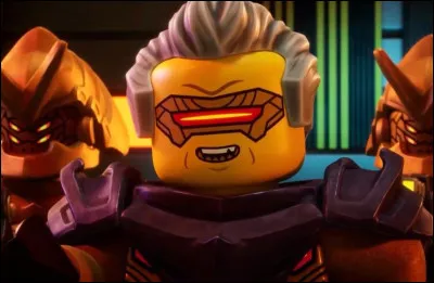 Quel est le statut de Rapton ?