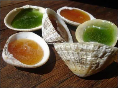 À l’origine, dans les années 50, dans quel coquillage était coulé le sucre d’orge du ''roudoudou'' ?