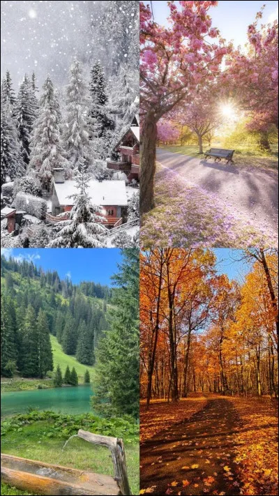 Quelle est ta saison préférée ?