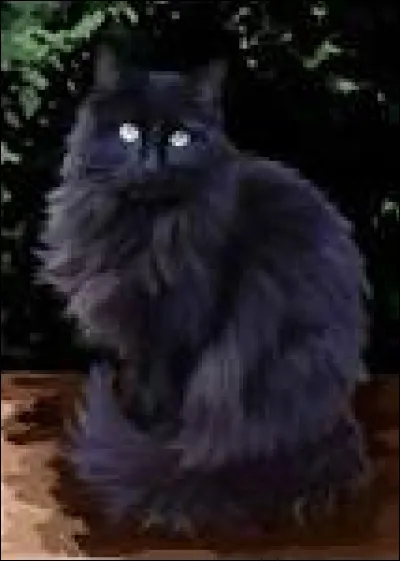 Tu vas voir derrière. Tu constates qu'il n'y a pas de gibier à chasser, mais une chatte noire aux yeux vert émeraude. Comment réagis-tu ?