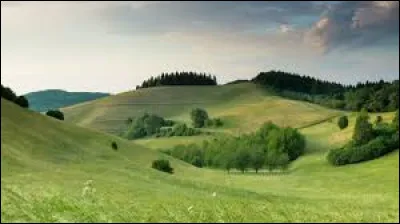 Tu lui demandes qui elle est. D'une voix grave mais calme, elle te dit : 
-Je suis Océan Noir, la cheffe de la Tribu des Collines, qui possède un territoire pas très loin. Je sais que tu viens souvent dans la forêt, même si tu restes près de la route. Je sais aussi que tu cours vite. C'est pour ces raisons en partie que je te demande de rejoindre ma Tribu. 
Que penses-tu de cette offre ?