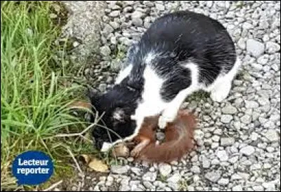 Tu as essayé de lattraper. Cette fois, tu y es arrivé. Quelle est ta réaction ?