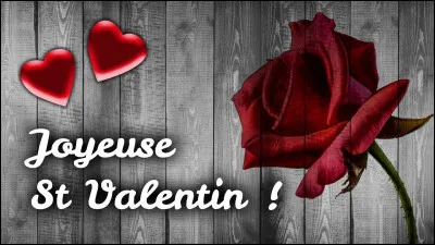 Les jours passent et nous sommes le 14 février, le jour de la Saint-Valentin ! Que faites-vous ?