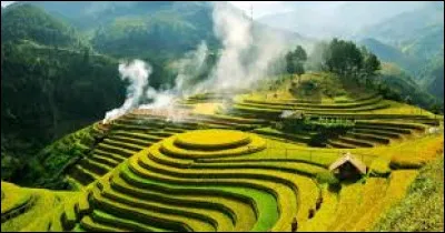 Quelle campagne socio-économique lancée par Mao Zedong dans les années 1950 a eu des conséquences désastreuses, entraînant une famine massive et la mort de millions de Chinois ?