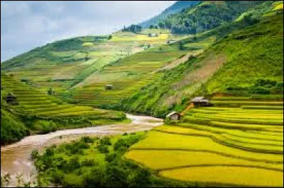 Quel est le nom du principal parti politique en Corée du Nord, qui dirige le pays depuis sa fondation et exerce un contrôle total sur tous les aspects de la vie politique, économique et sociale ?