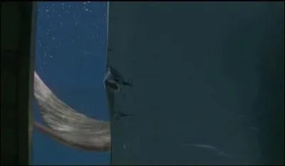 Qui l'a aperue au fond de l'eau quand elle tait en sirne ?