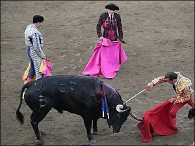 Qui tue le taureau lors d'une corrida ?