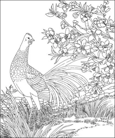 Vous hésitez entre fleurs de pêcher et fleurs d'abricotier. Alors vous décidez qu'elles seront celles du Prunus persica !