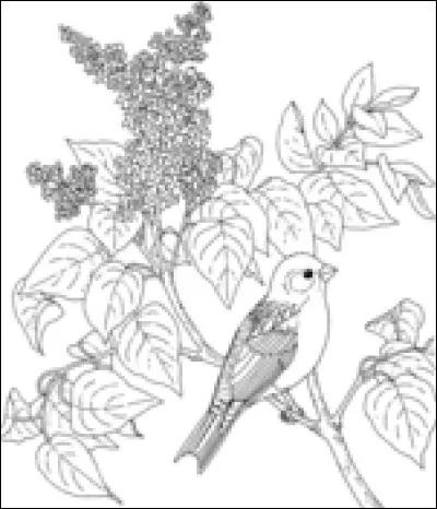 Quelle couleur conviendra parfaitement à cette belle fleur très odorante que vous reconnaissez aisément ?