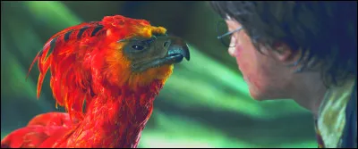 Quel est cet animal ?