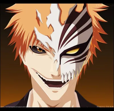 Quelle est cette transformation dIchigo ?