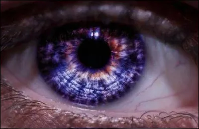 Des jeunes télépathes aux yeux violets, qui voient tous leurs secrets révélés... À quel roman cela pourrait te faire penser ?