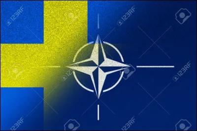 Vrai ou faux : la Suède est plus grande que l'Allemagne.