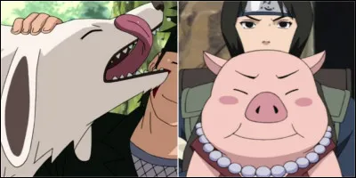 Quel est ton animal préféré ?