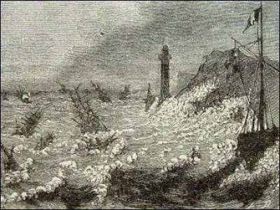 Le songar est un animal. Lequel ?