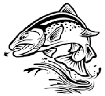 De quelle espèce est la truite, originaire dAmérique du Nord, que l'on peut espérer trouver dans le lac des Bouillouses, France.