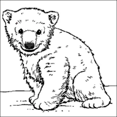 Il vit le jour en 1970 et montre de bonnes résolutions.