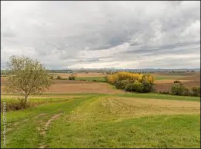 Quel est le nom de cette plaine deffondrement, fertile, arrosée par lAllier, et s'entendant sur la partie est des départements du Puy-de-Dôme et de l'Allier ?