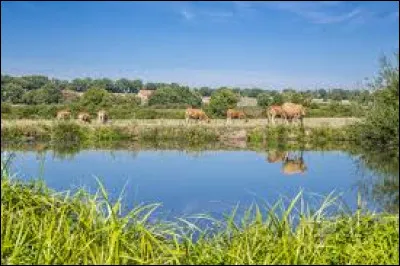 Quel est ce cours d'eau de l'Allier, long de 100 km, qui prend sa source dans les monts de la Madeleine, coule vers le nord, traverse Lapalisse et se jette dans la Loire ?