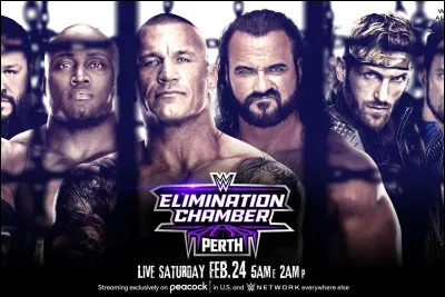 Qui fut le vainqueur de l'Elimination Chamber Match ?