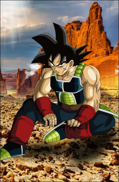 Le père de Son Goku est...