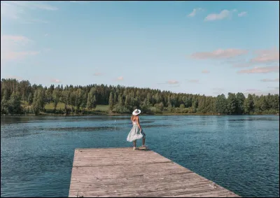 Quel sont les langues officielles du pays ?