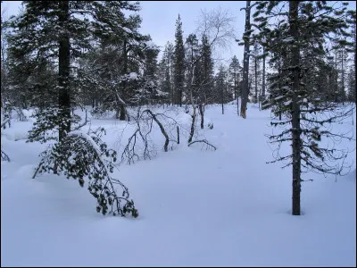 Comment se nomme le peuple s'y trouvant ?