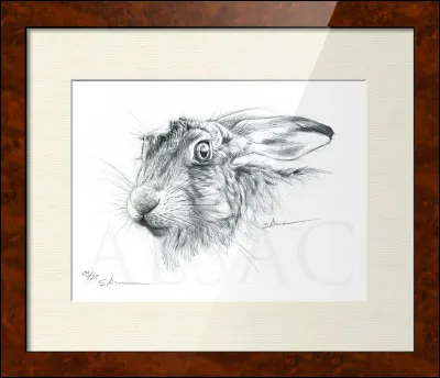 À quelle famille d'animaux appartient le lièvre ? les...