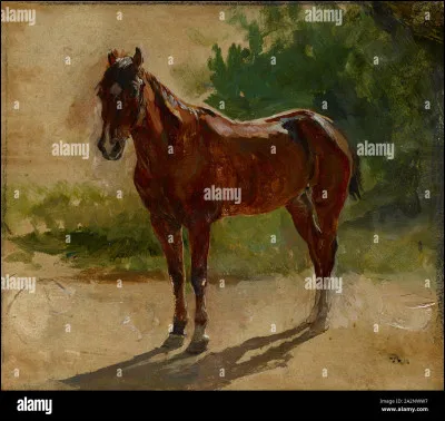 Tu deviens adulte. Quelle est la couleur de ta robe ?