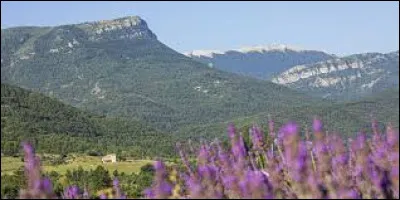 Quel est ce relief, situé dans l'ouest du département, qui prolonge le Mont Ventoux et culmine à 1 825 mètres ?