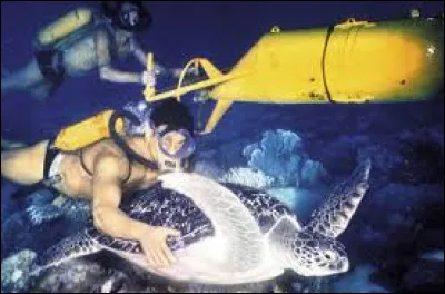 En quelle année est sorti le film documentaire "Le Monde du silence" réalisé par Jacques-Yves Cousteau et Louis Malle ?