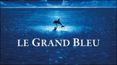 Qui a réalisé le film "Le Grand Bleu" sorti en 1988 ?
