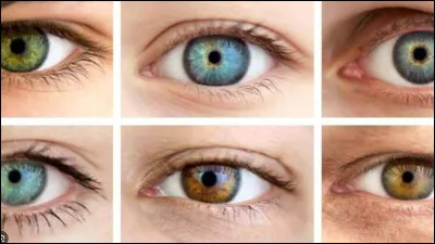 Quelle est la couleur de tes yeux ?