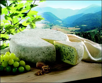 Nous finirons notre promenade gastronomique par ce bleu incontournable ! Autrefois appelé bleu de Sassenage, puis bleu du Vercors, il a aujourd'hui la double appellation. Que choisirons-nous après l'avoir dégusté ?
